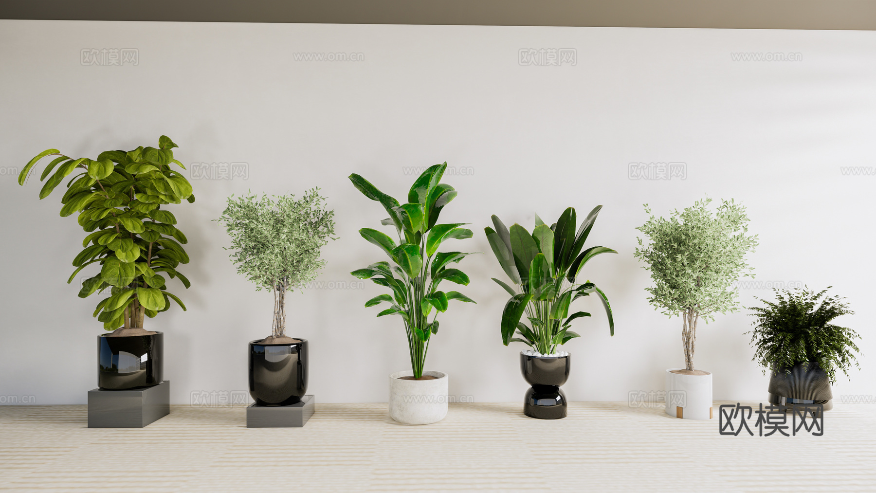 盆景绿植盆栽su模型下载