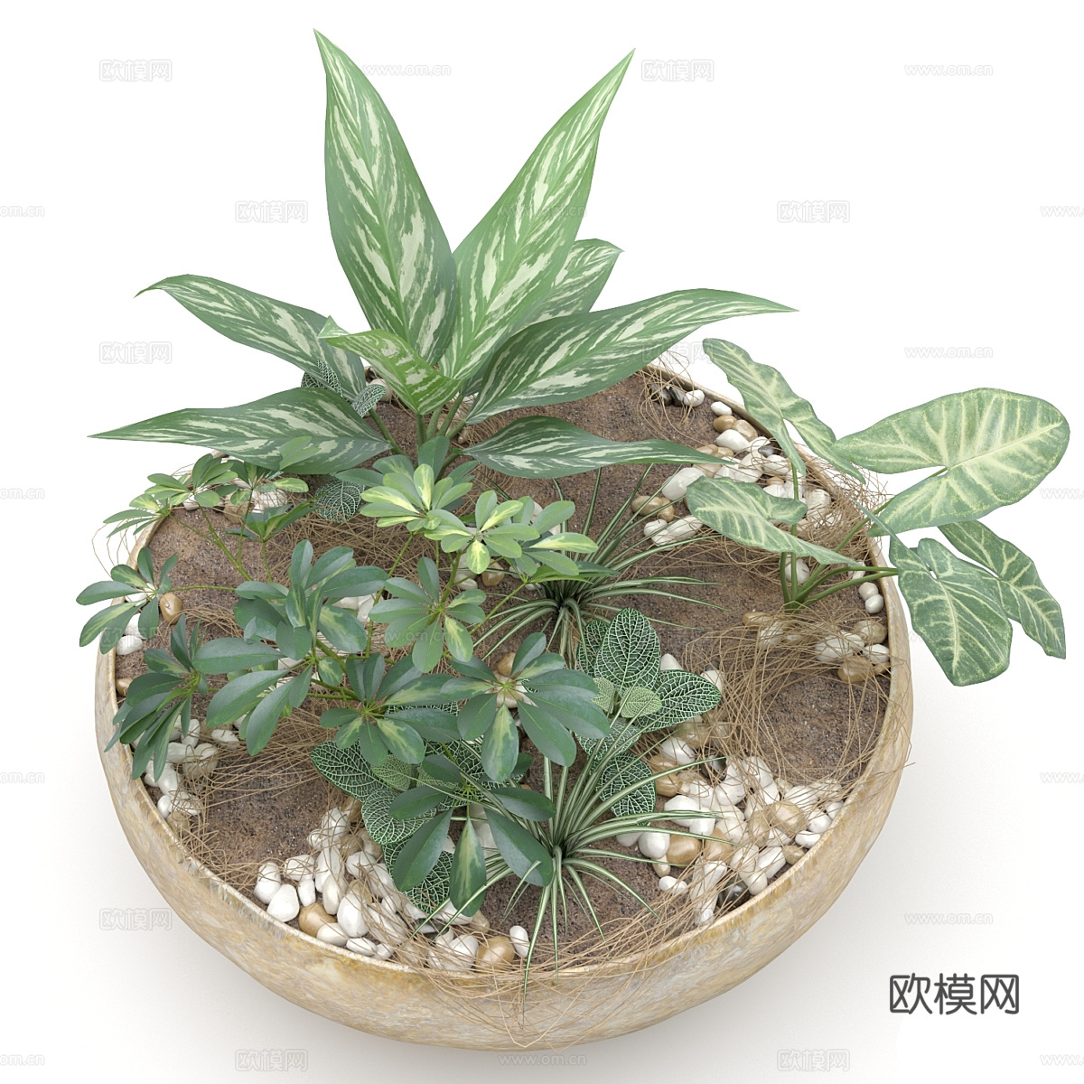 新中式绿植盆景3d模型