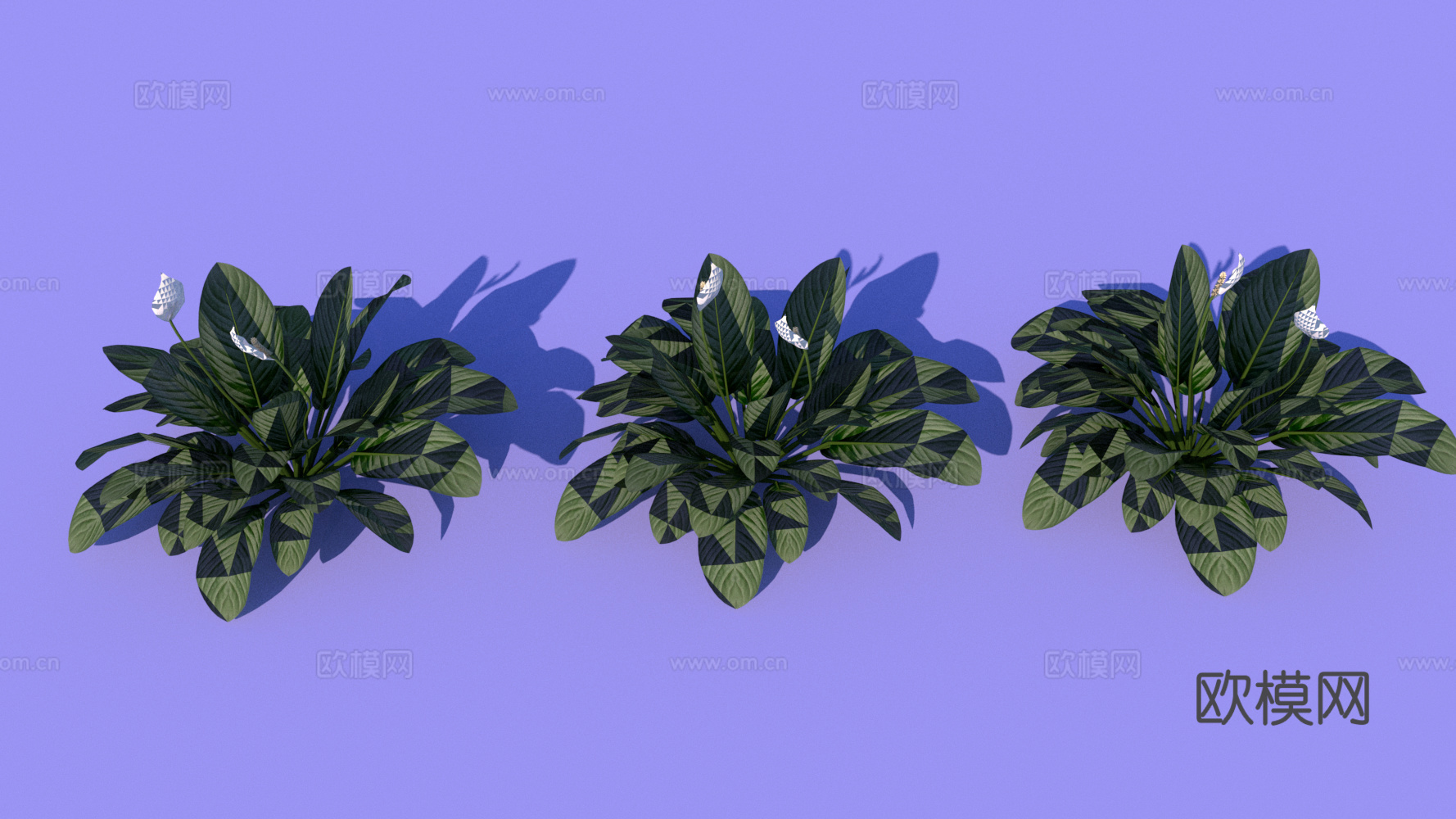 现代花草绿植su下载模型