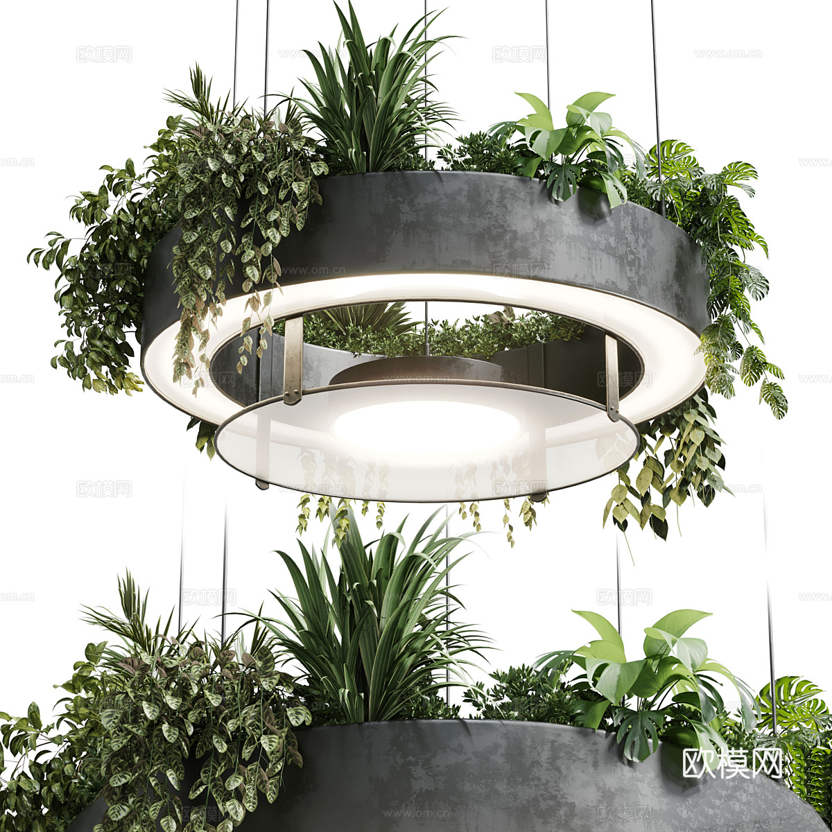 现代圆形悬挂绿植装饰盆灯3d模型