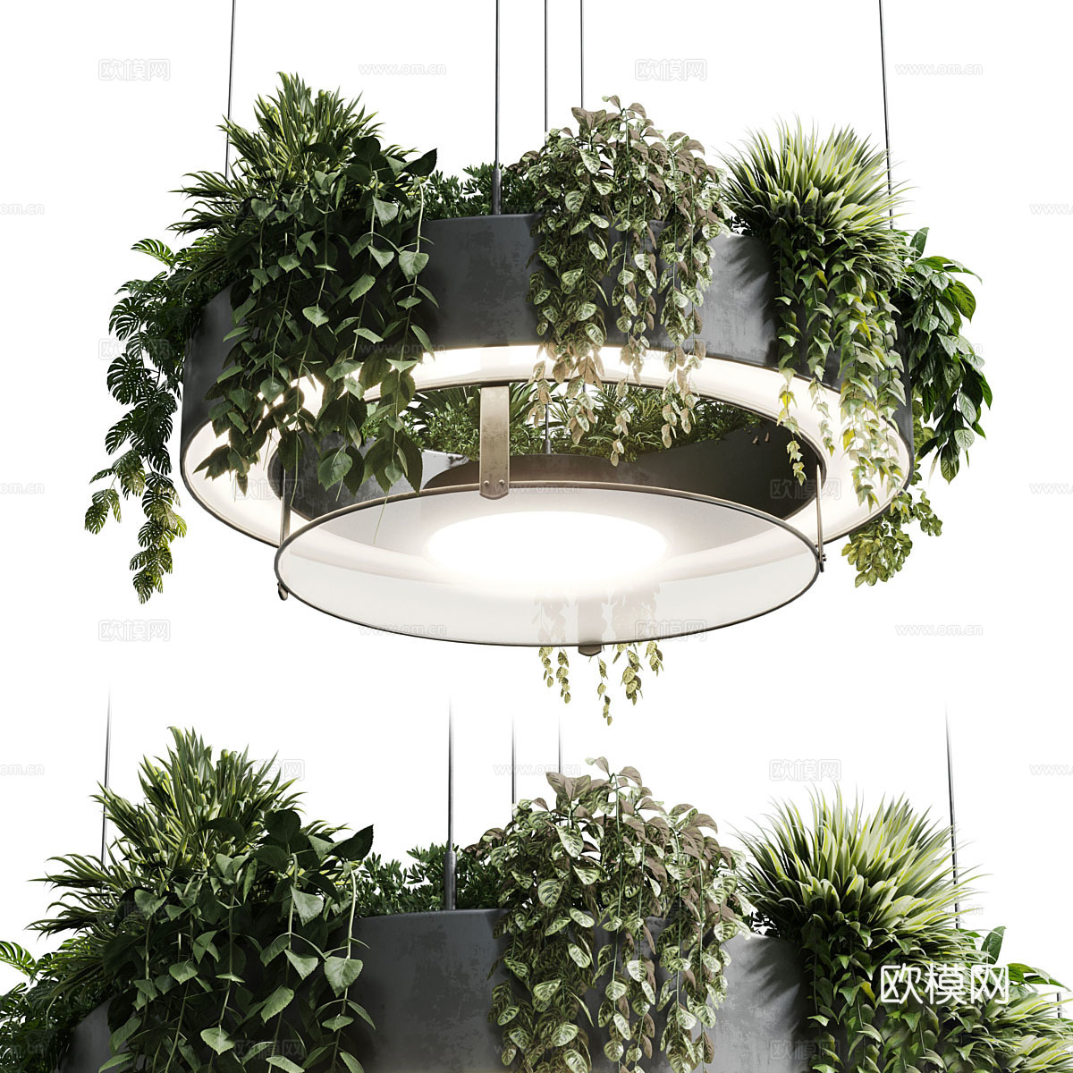 现代圆形悬挂绿植装饰盆灯3d模型
