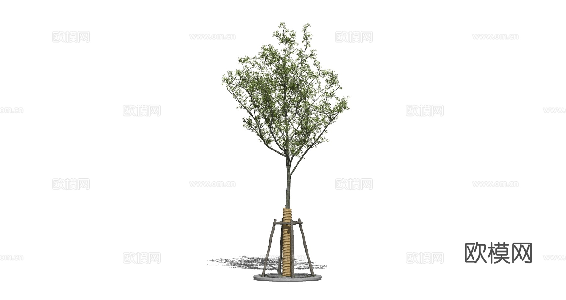 现代景观树su模型下载