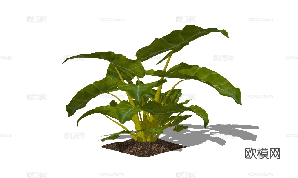 现代绿植灌木su模型下载