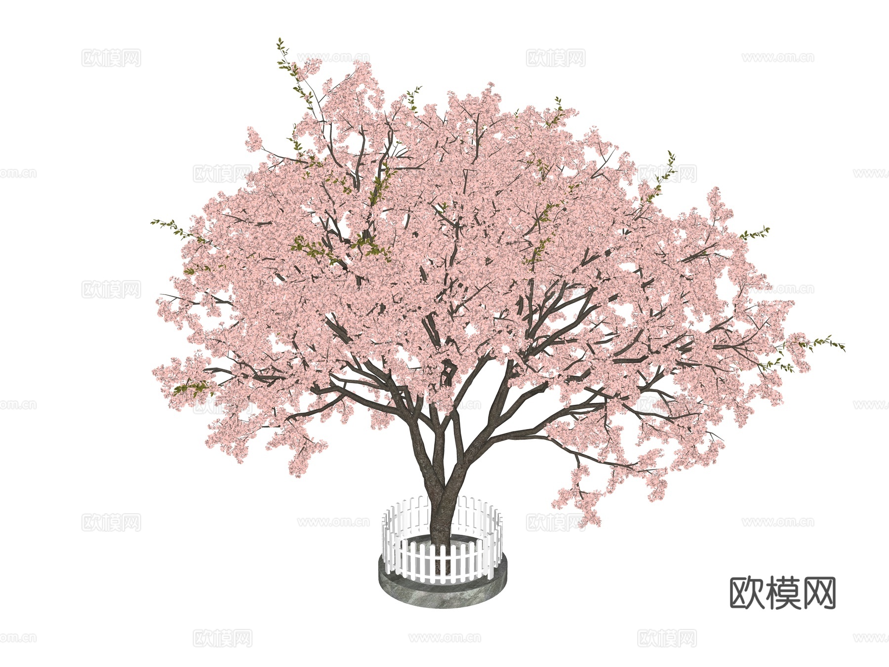 现代樱花树su模型下载