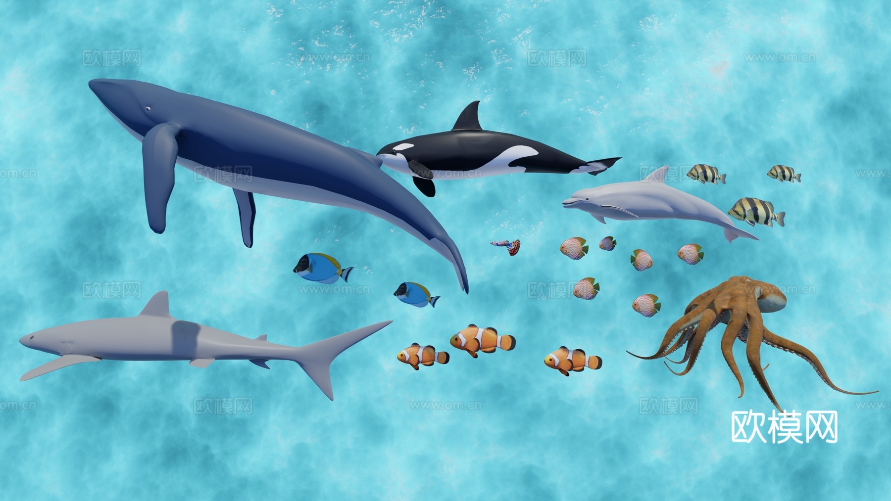 现代海洋生物动物su模型下载
