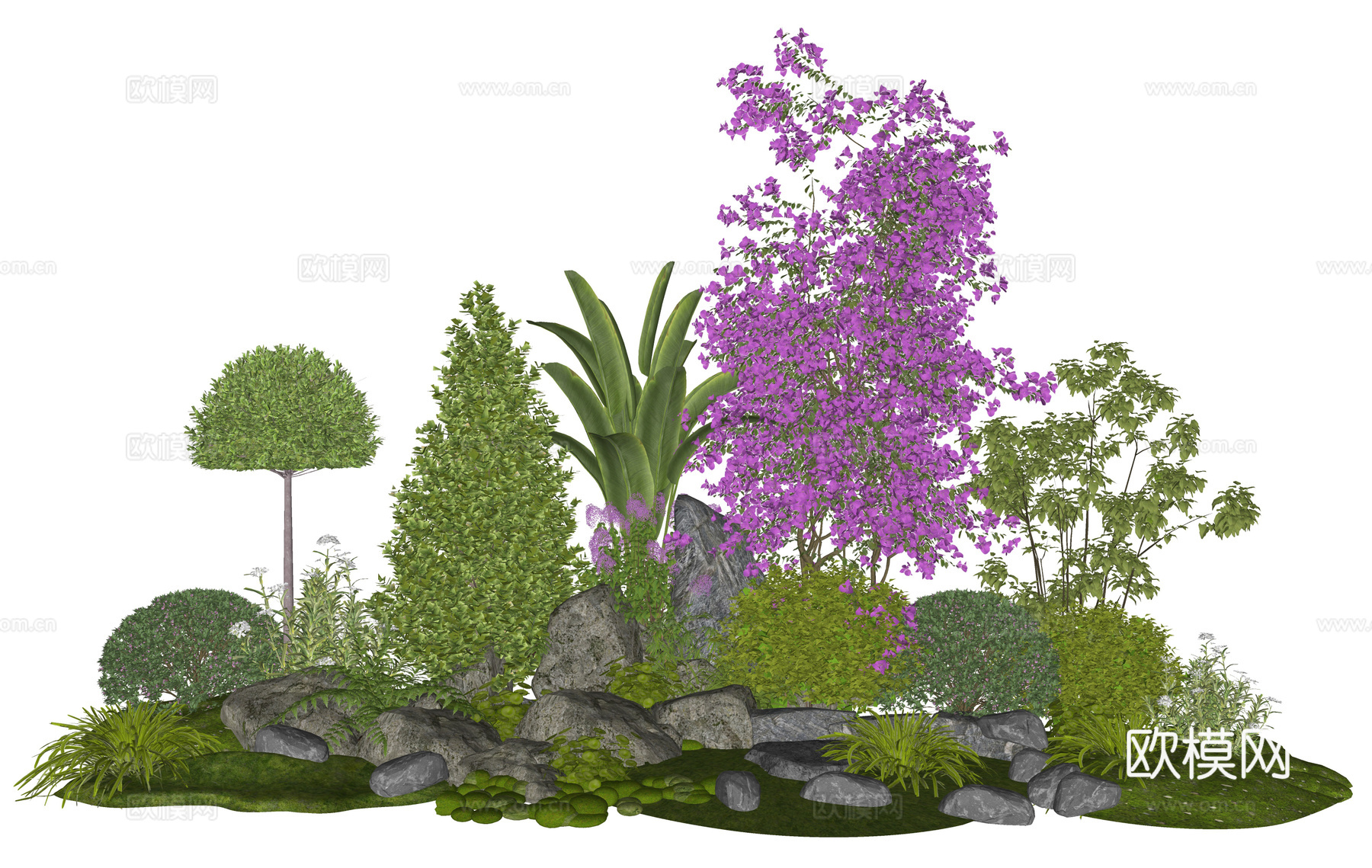 现代植物组合 花境组团 植物造景 植物堆 灌木球 女贞su模型