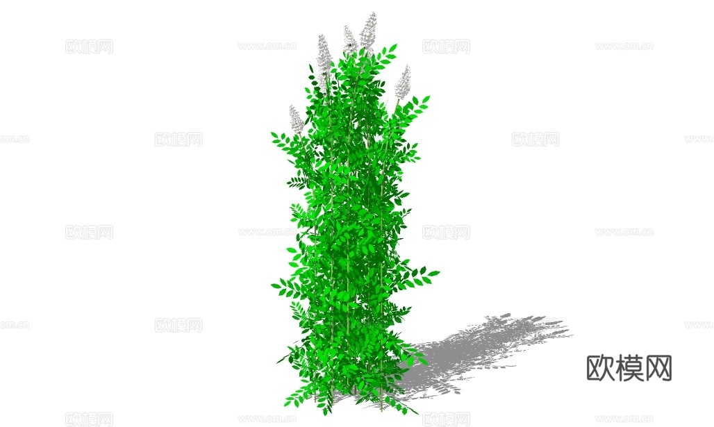 现代绿植灌木su模型下载