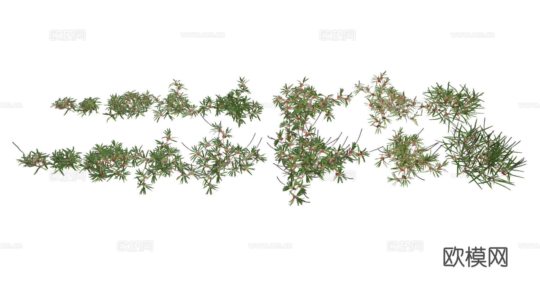 现代花草su模型下载