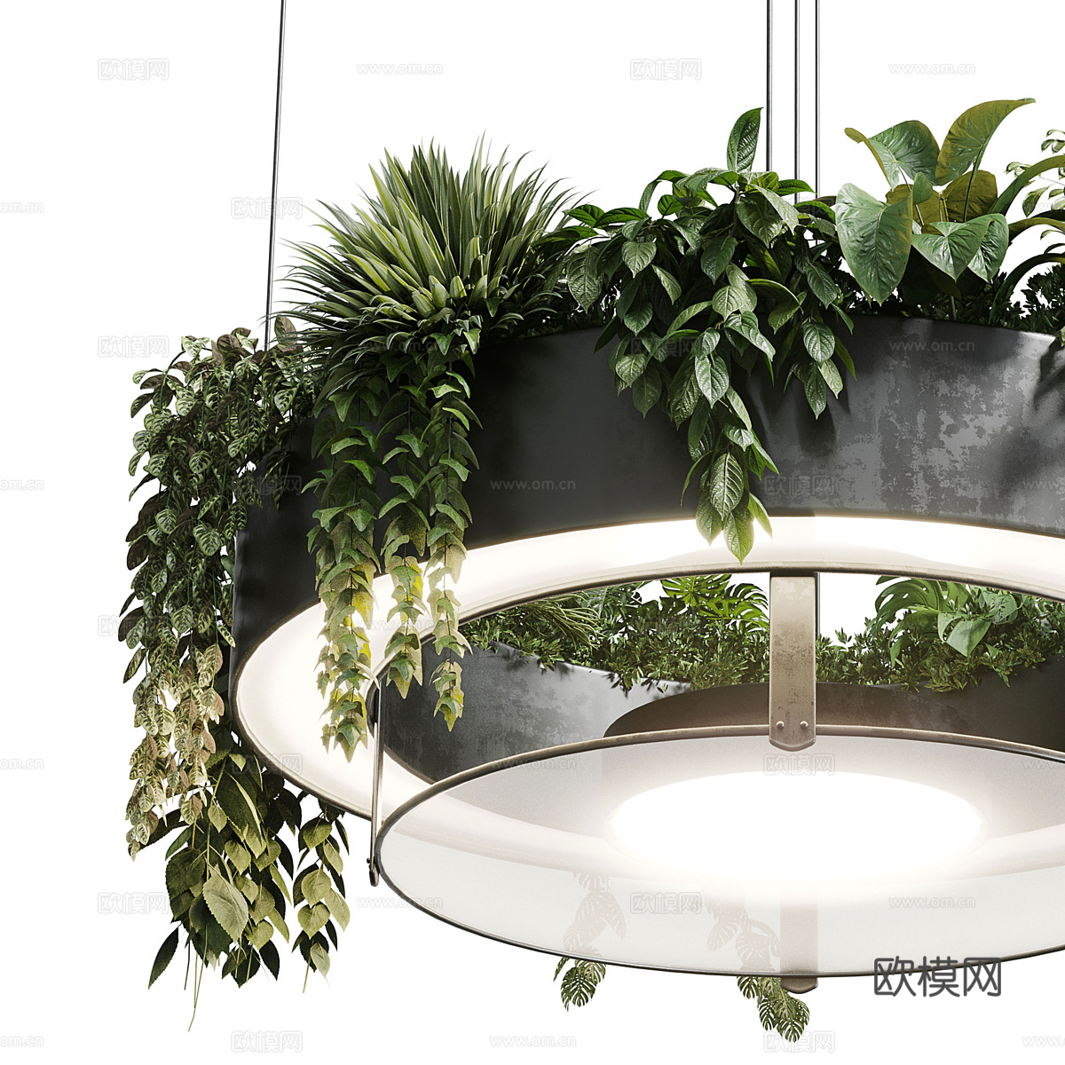 现代圆形悬挂绿植装饰盆灯3d模型