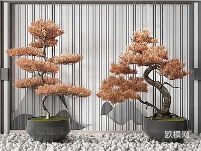 新中式松树盆景盆栽su模型下载