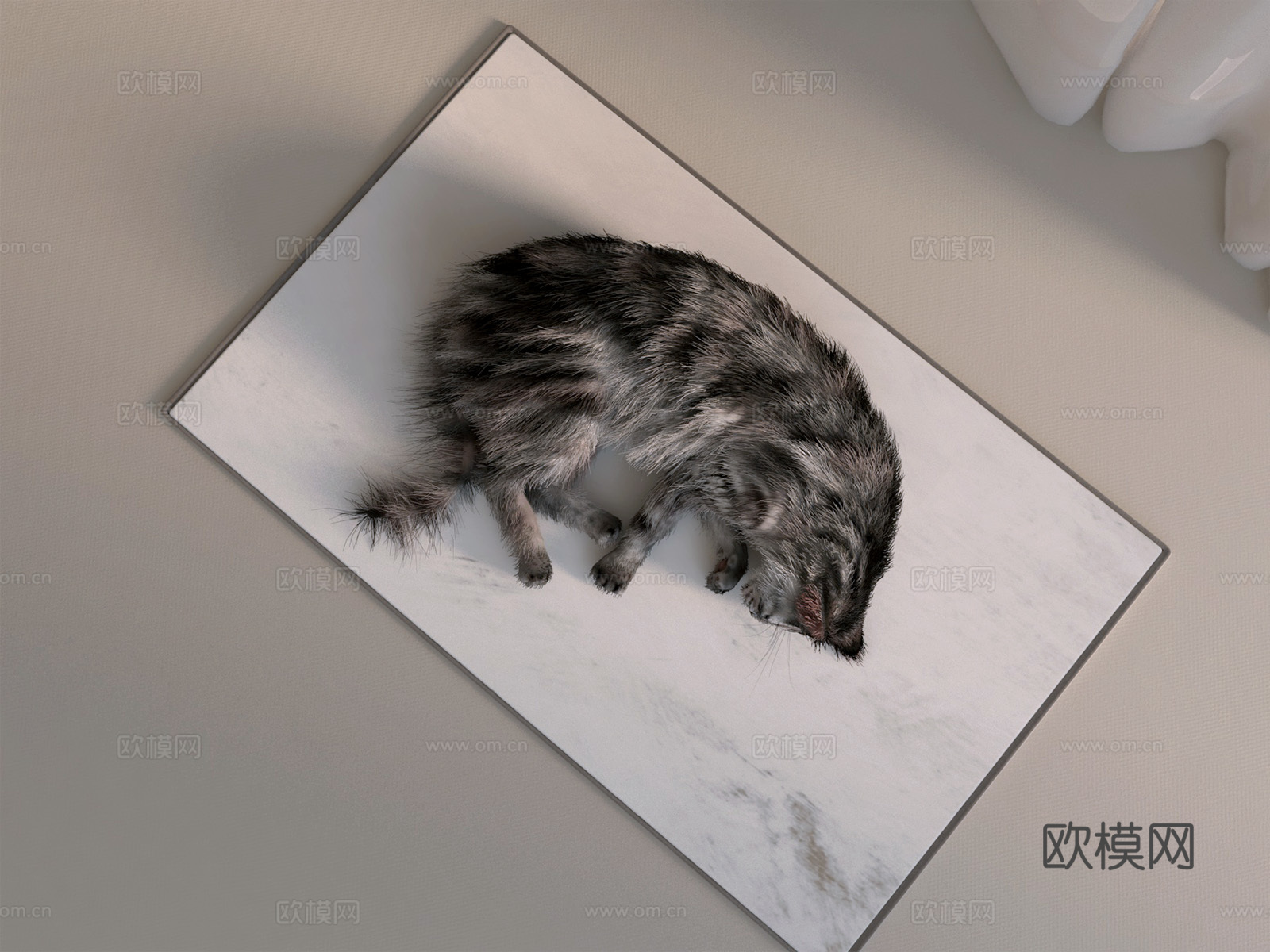 美国英短猫宠物猫3d模型