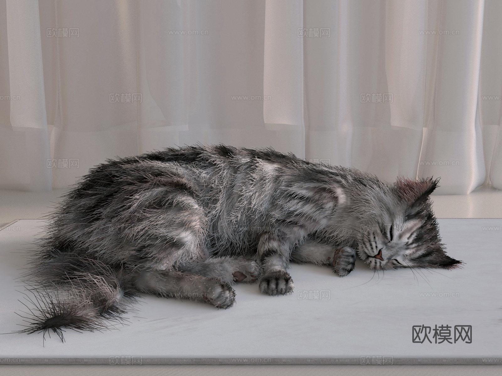 美国英短猫宠物猫3d模型