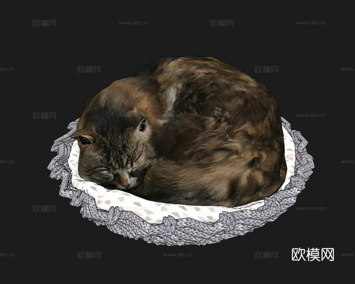 现代猫咪宠物猫su模型下载