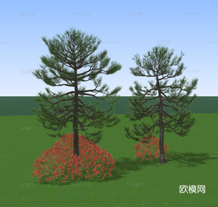 现代松树景观树su模型下载
