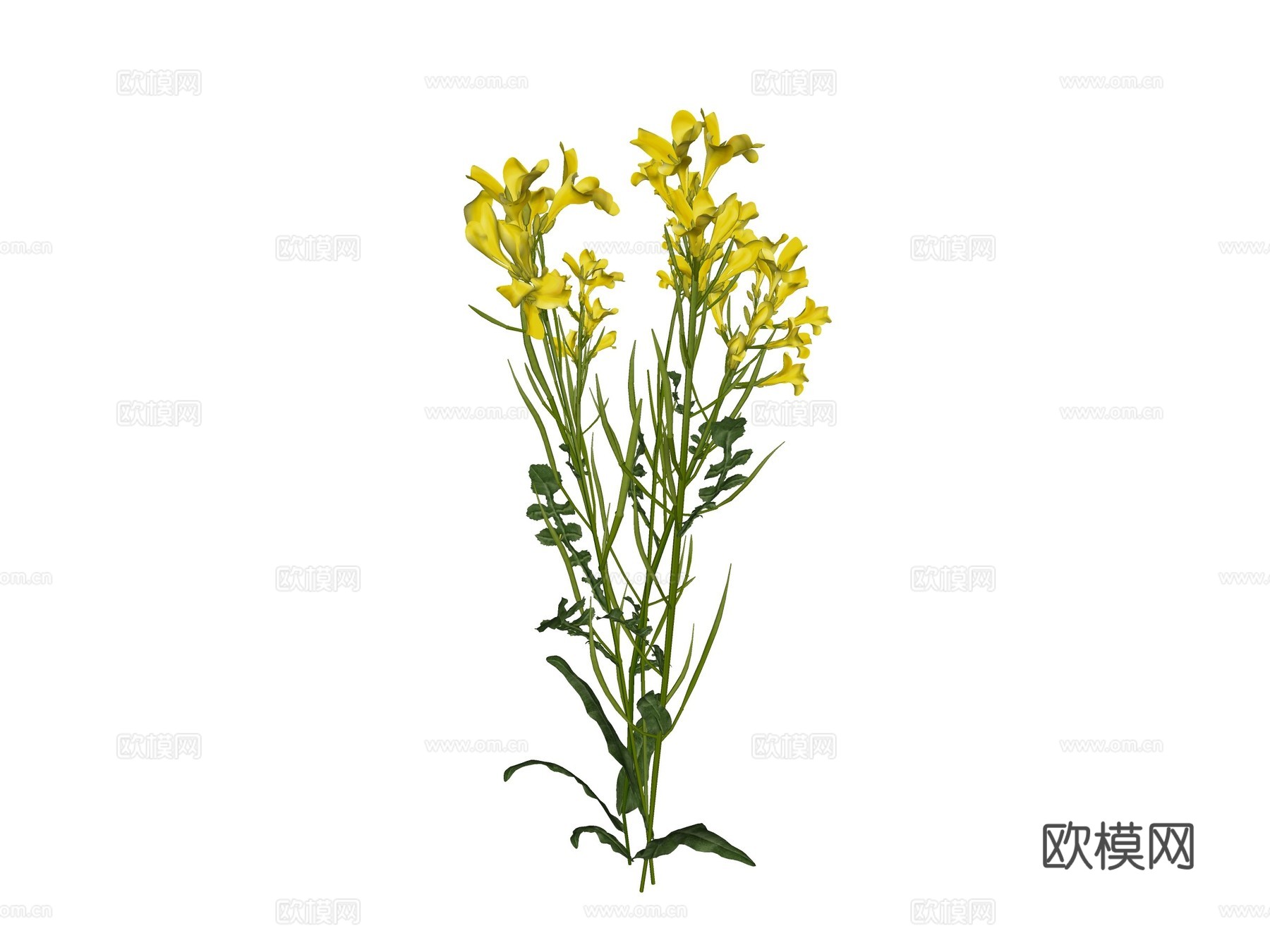 现代鲜花su模型下载