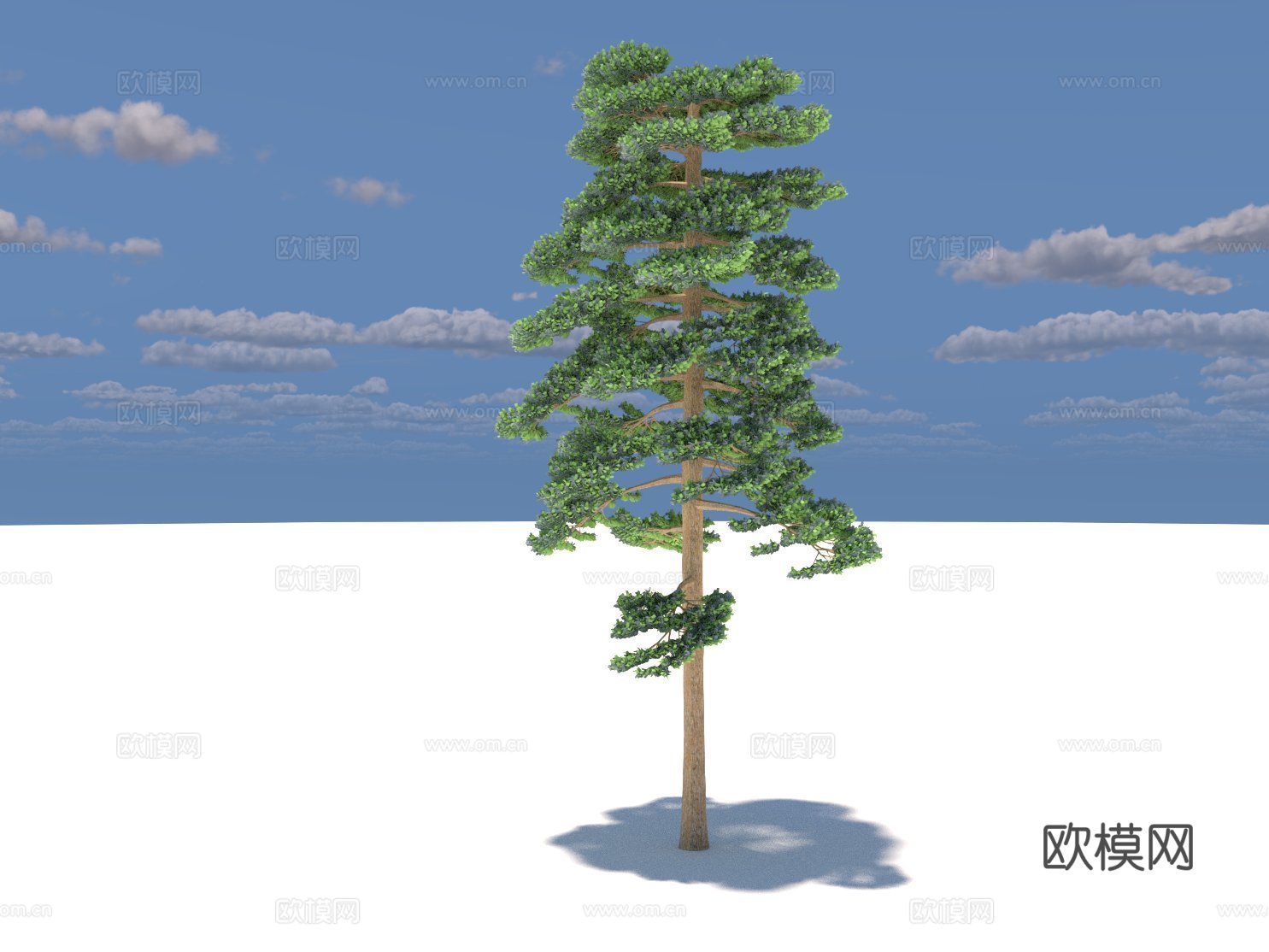 绿植su模型