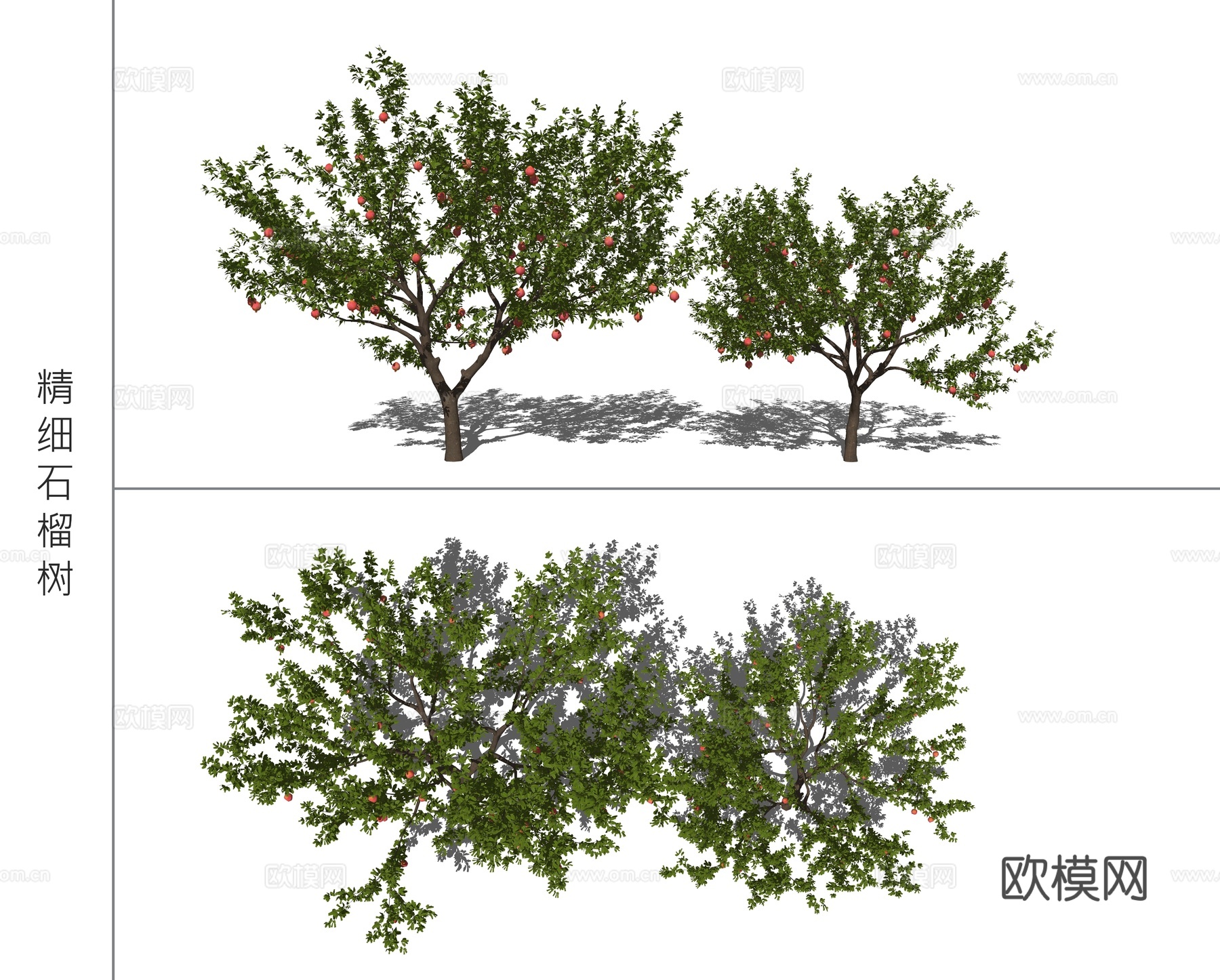 现代石榴树景观树su模型下载