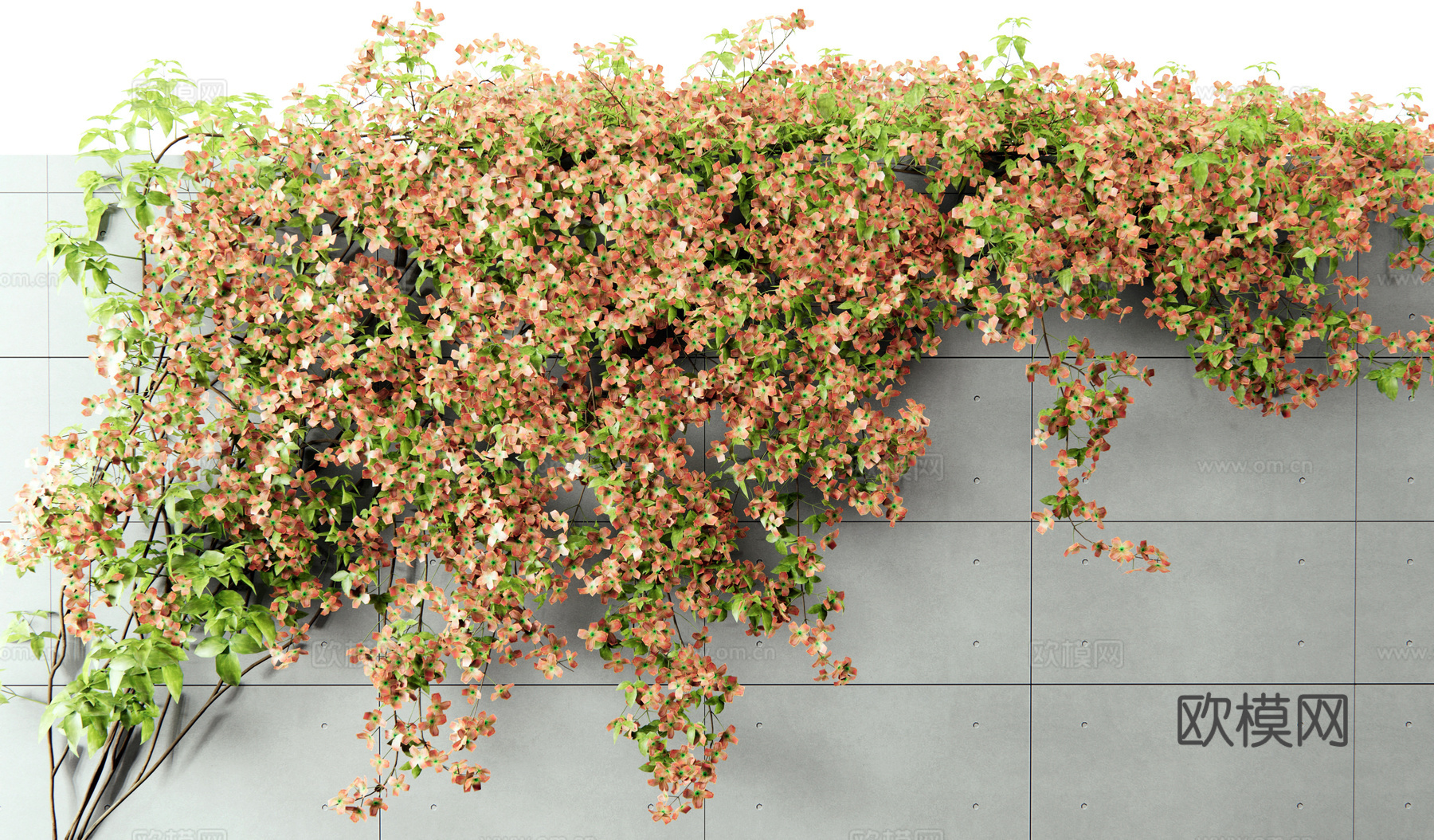 现代藤蔓植物 爬藤 爬山虎 绿植墙 花墙3d模型