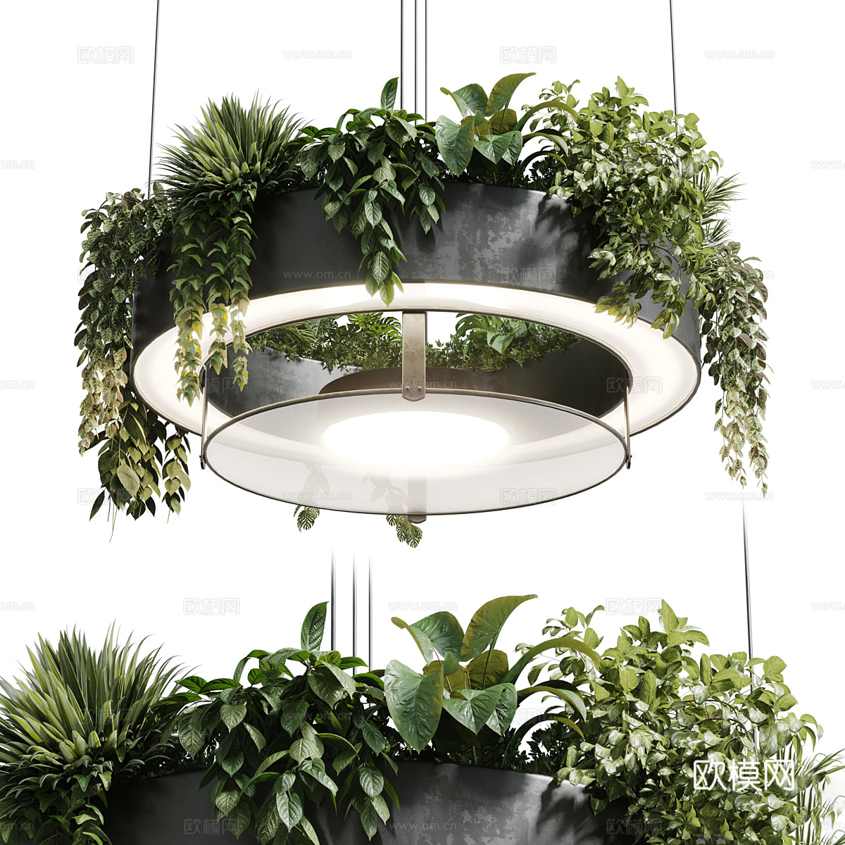 现代圆形悬挂绿植装饰盆灯3d模型