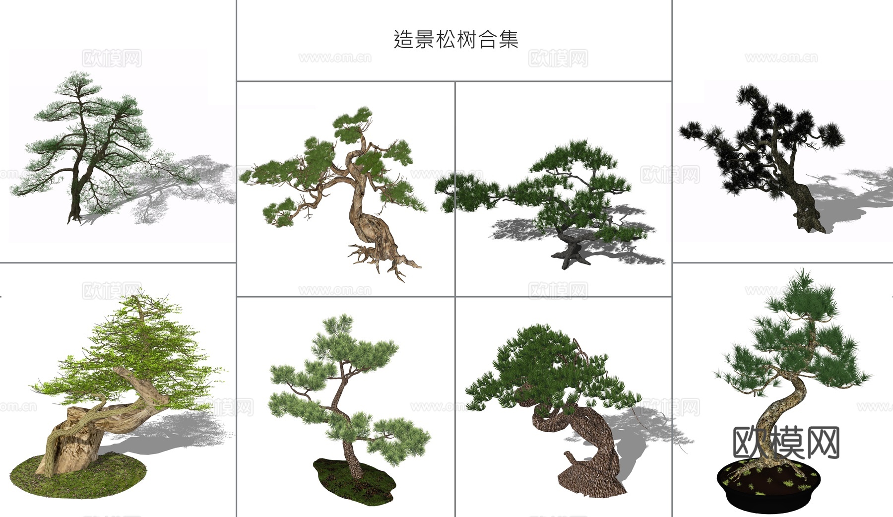 现代景观树松树su模型下载