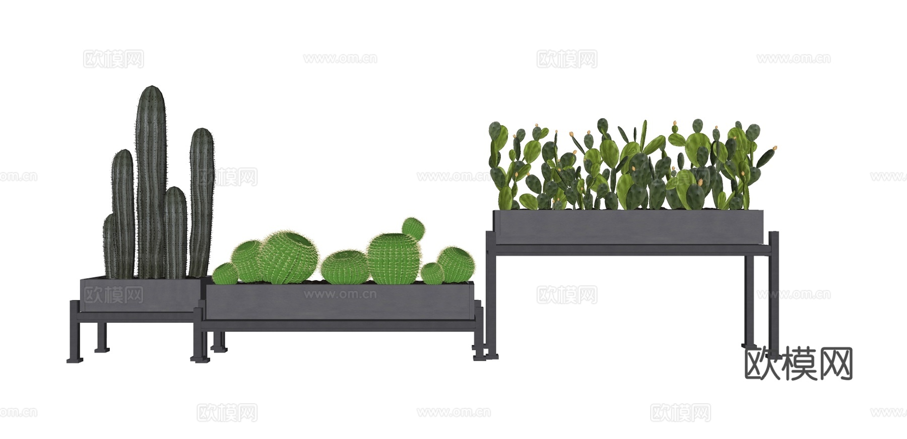 现代仙人掌绿植盆栽su模型下载