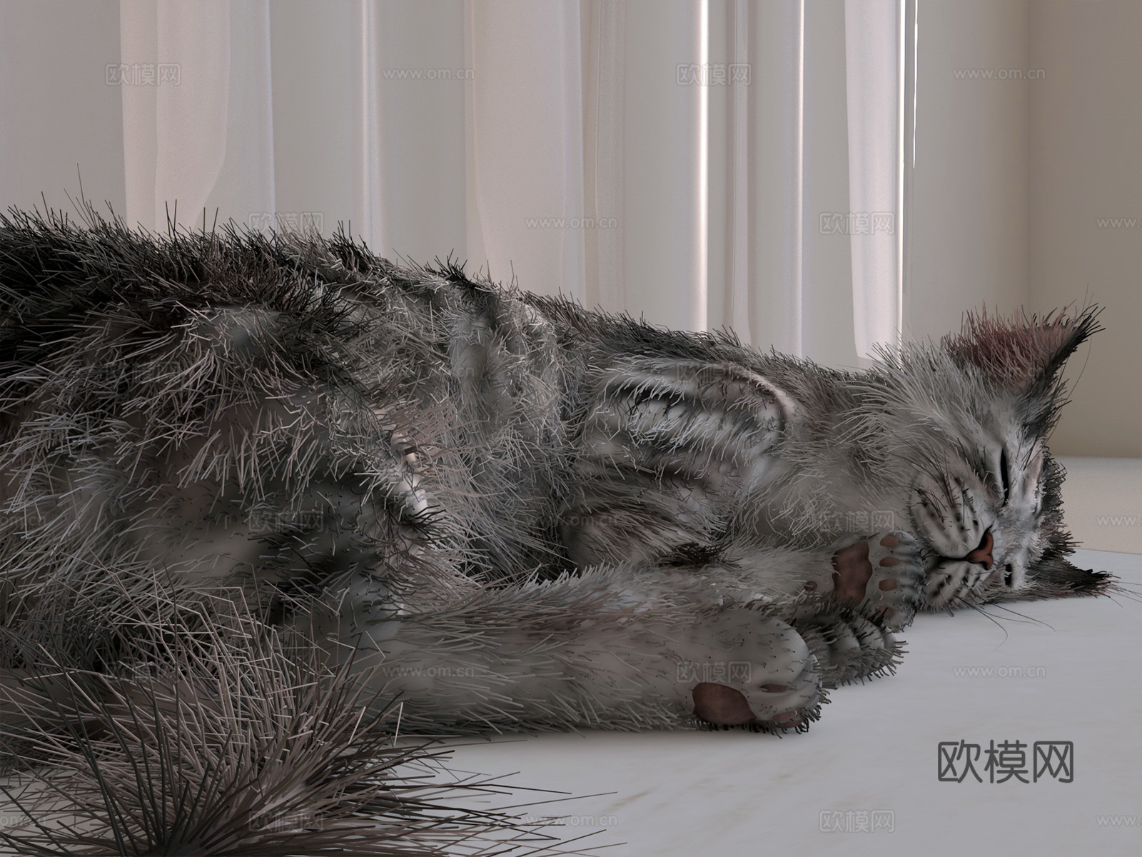 美国英短猫宠物猫3d模型