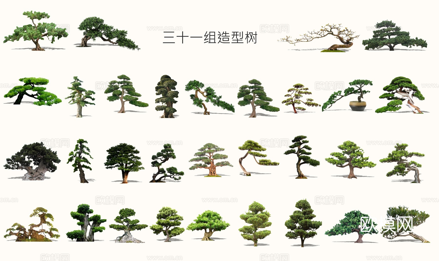 新中式景观树松树su模型下载