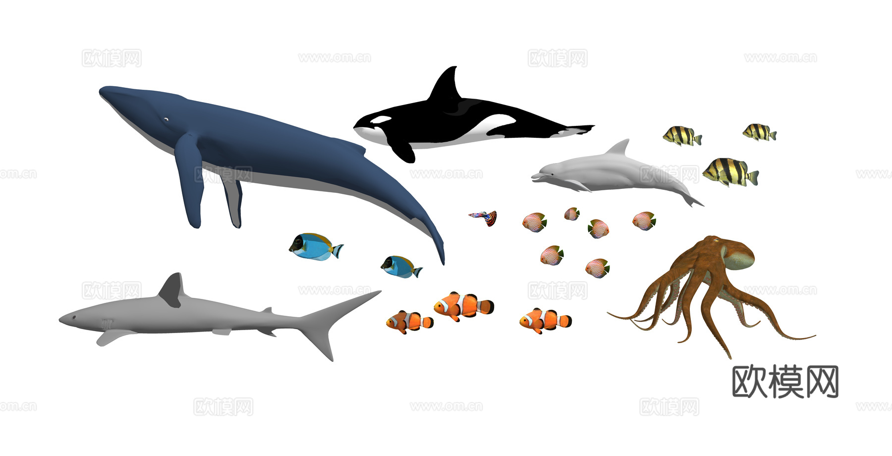 现代海洋生物动物su模型下载