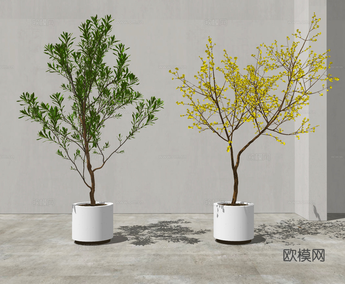 现代植物盆栽su模型下载