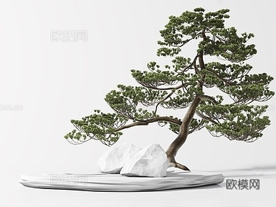 新中式松树盆景盆栽su模型下载
