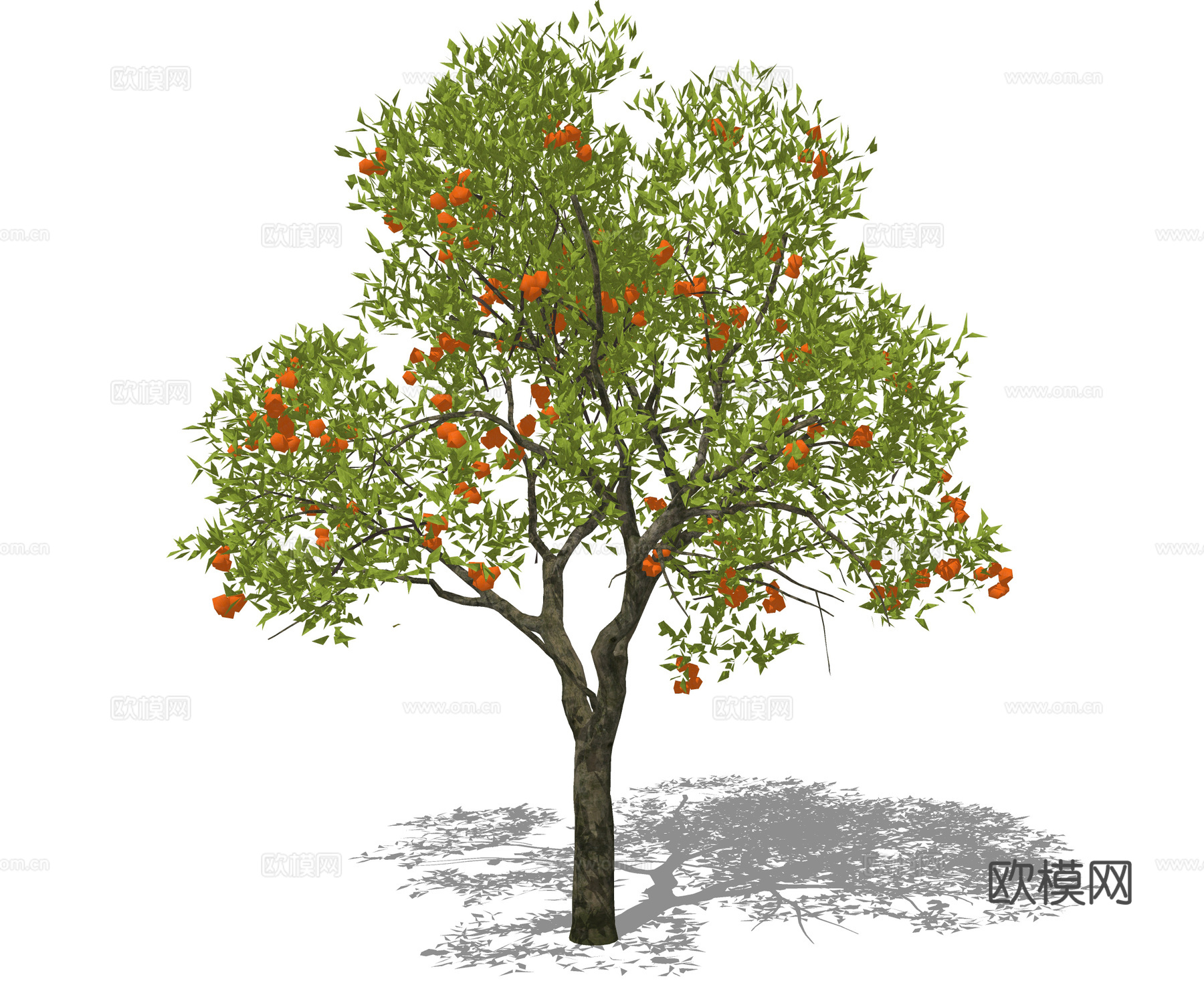 柿子树 橘子树 果树 景观树 乔木 植物景观su模型