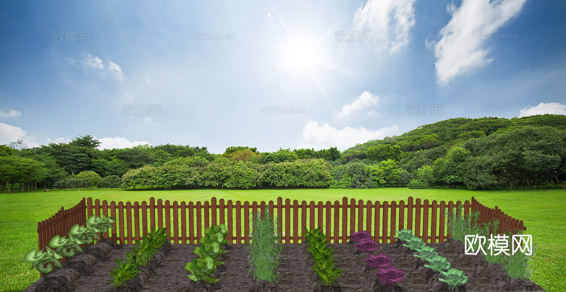 现代蔬菜园菜地su模型下载
