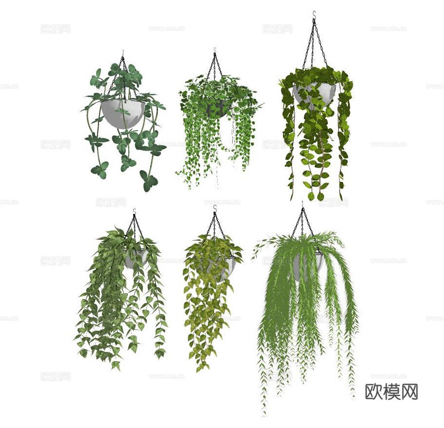 现代植物吊兰盆栽su模型下载