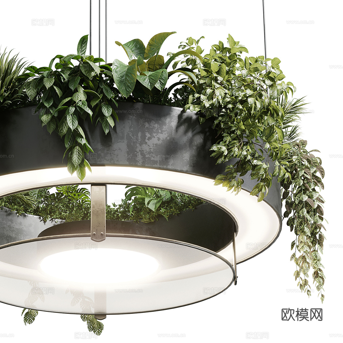 现代圆形悬挂绿植装饰盆灯3d模型
