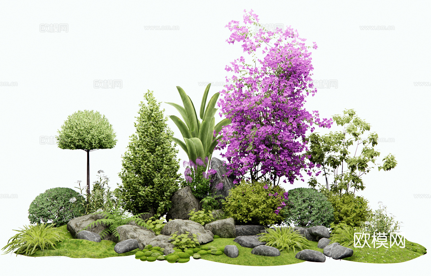 现代植物组合 花境组团 植物造景 植物堆 灌木球 女贞3d模型