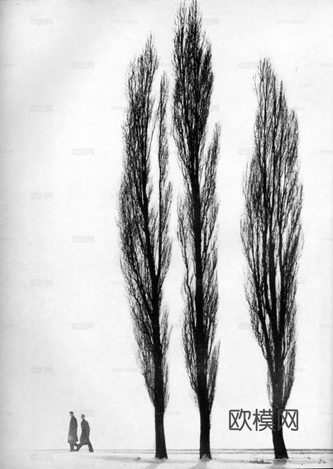 新中式挂画 植物装饰画 装饰画