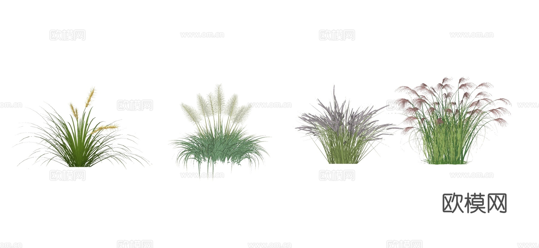 现代湿地公园水生植物 草花 芦苇 狗尾巴草su模型下载