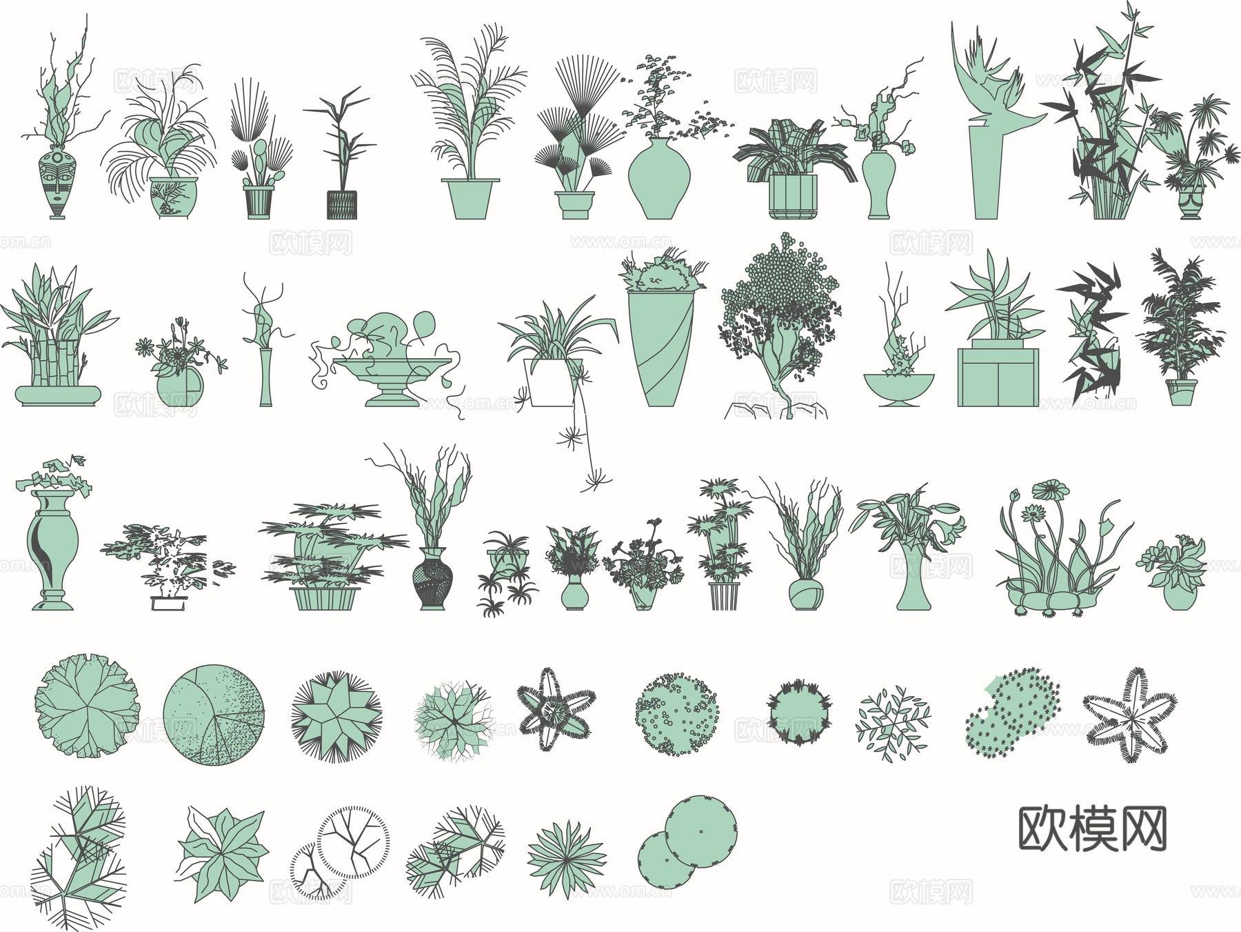 植物平立面图库cad施工图