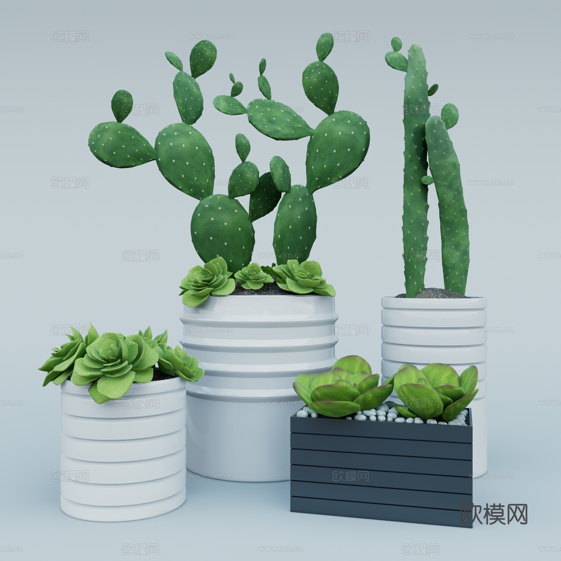 现代仙人掌多肉植物盆栽su模型下载