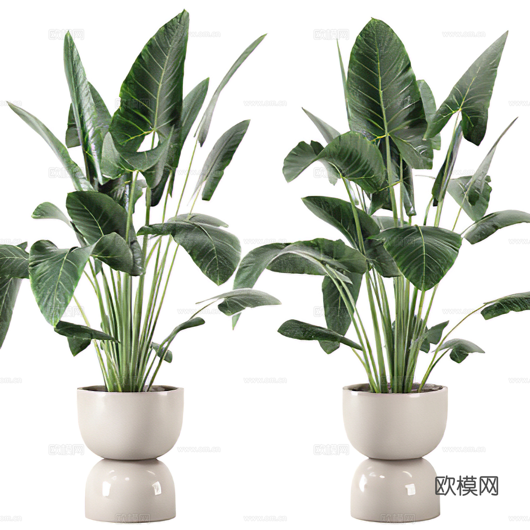 盆栽 盆景 绿植su模型下载