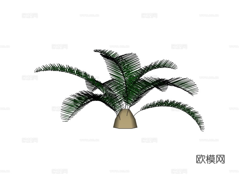 现代绿植花草su模型下载