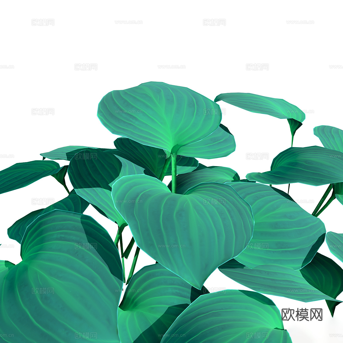 蓝鼠耳玉簪3d模型