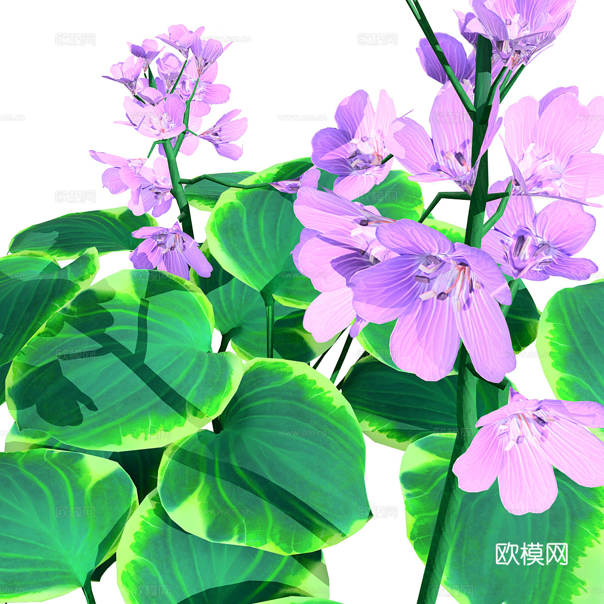 蓝鼠耳玉簪3d模型