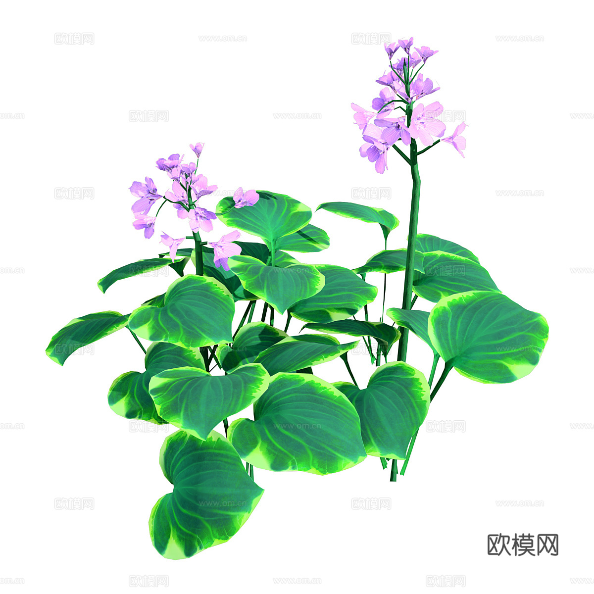 蓝鼠耳玉簪3d模型