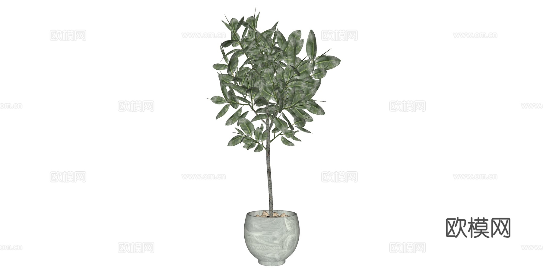 植物 盆栽 盆景 花卉su模型下载