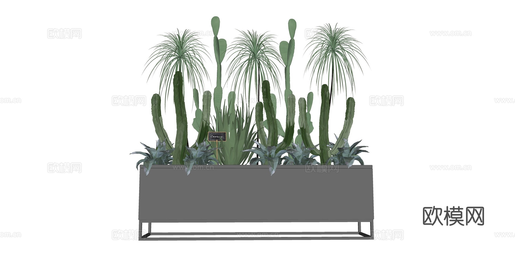 植物 盆栽 盆景 花卉 仙人掌 沙生植物su模型下载