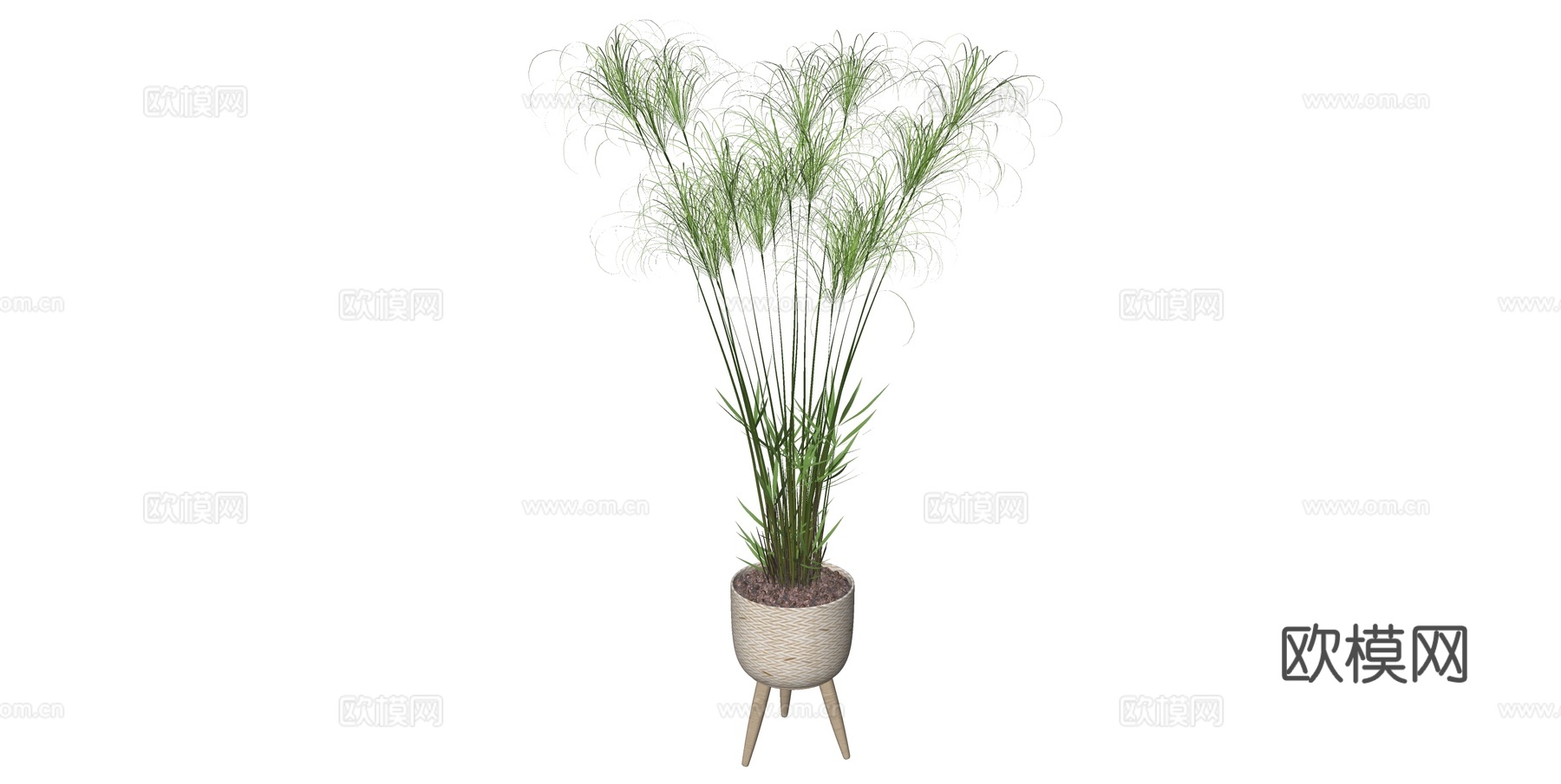 植物 盆栽 盆景 花卉su模型下载