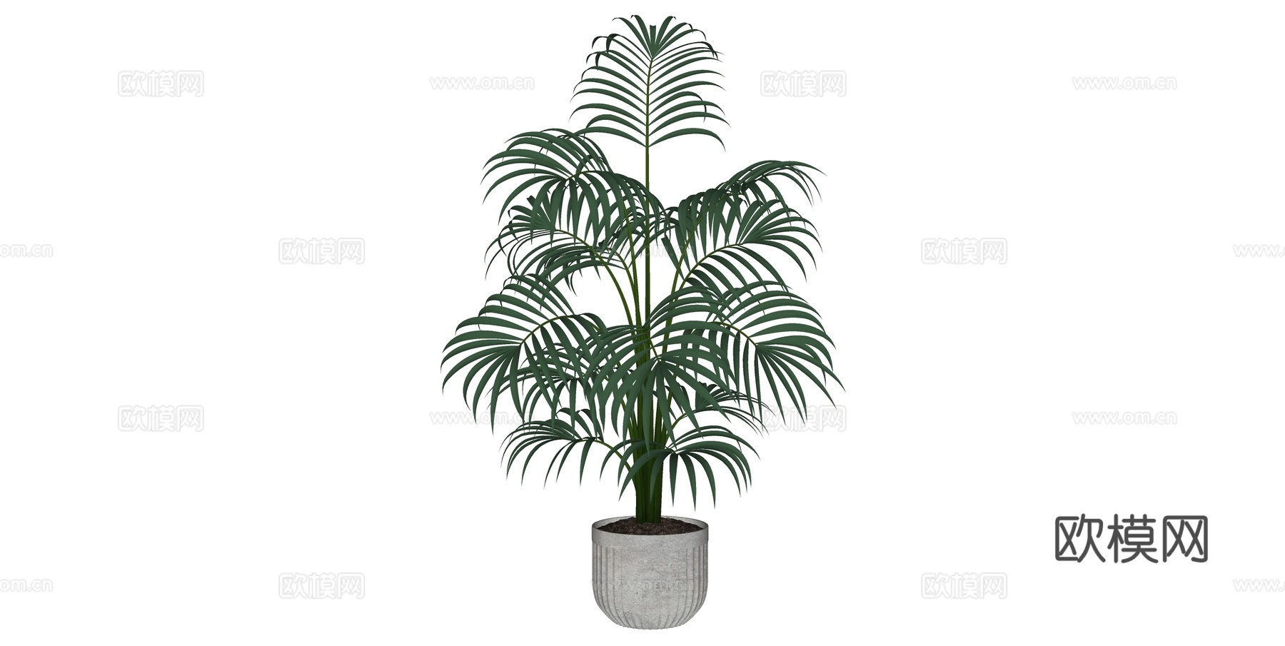 植物 盆栽 盆景 花卉su模型下载