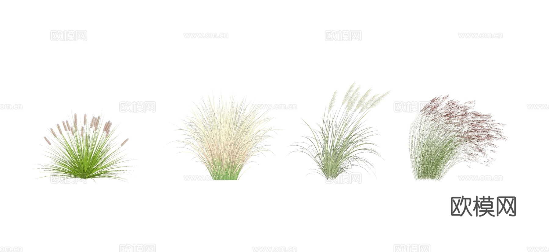 现代湿地公园水生植物 草花 芦苇 狗尾巴草su模型下载