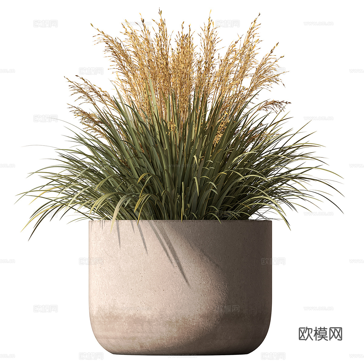 新中式绿植盆栽 果树3d模型